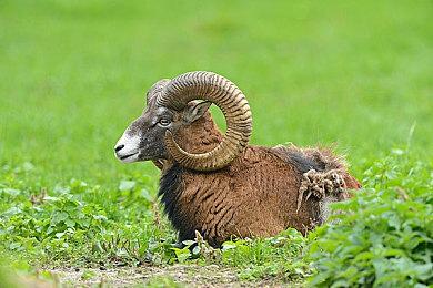 英国实体周榜：《真人快打1》登顶 《星空》下滑到19